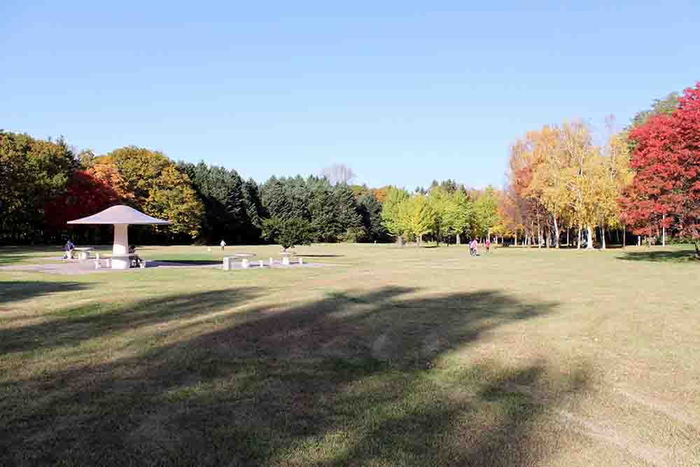 札幌真駒内公園の紅葉