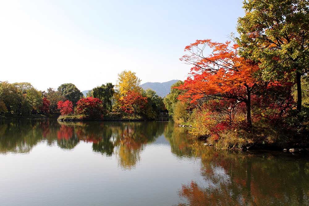 札幌中島公園の紅葉
