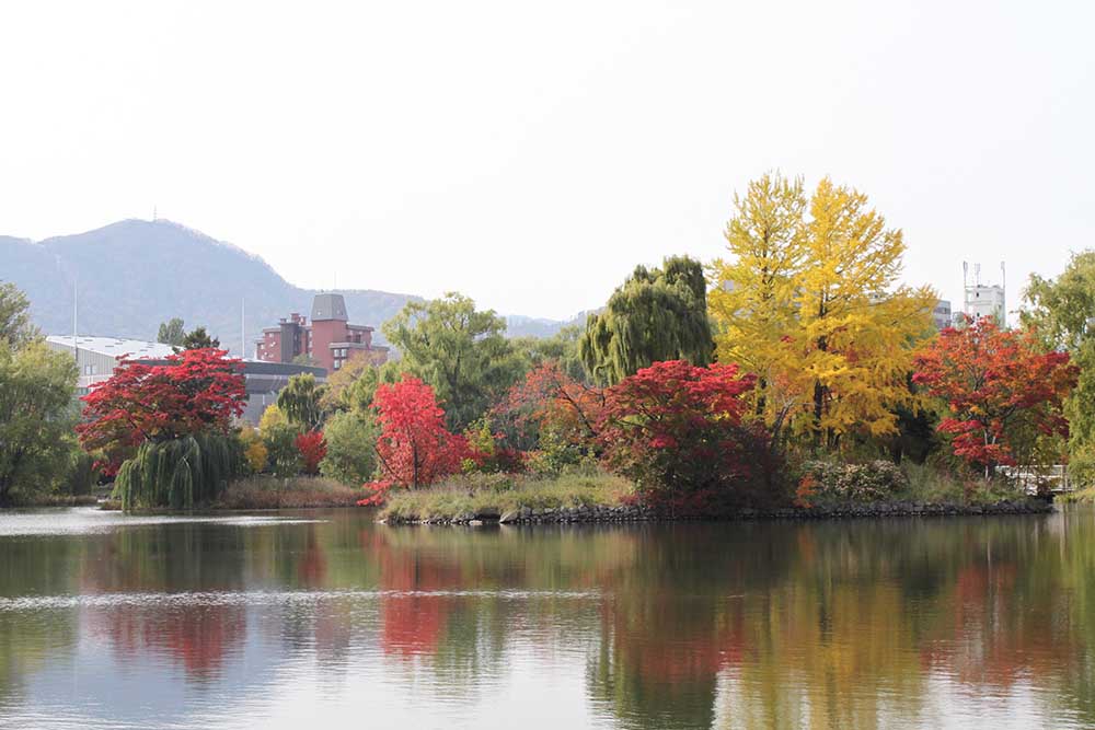 札幌中島公園の紅葉
