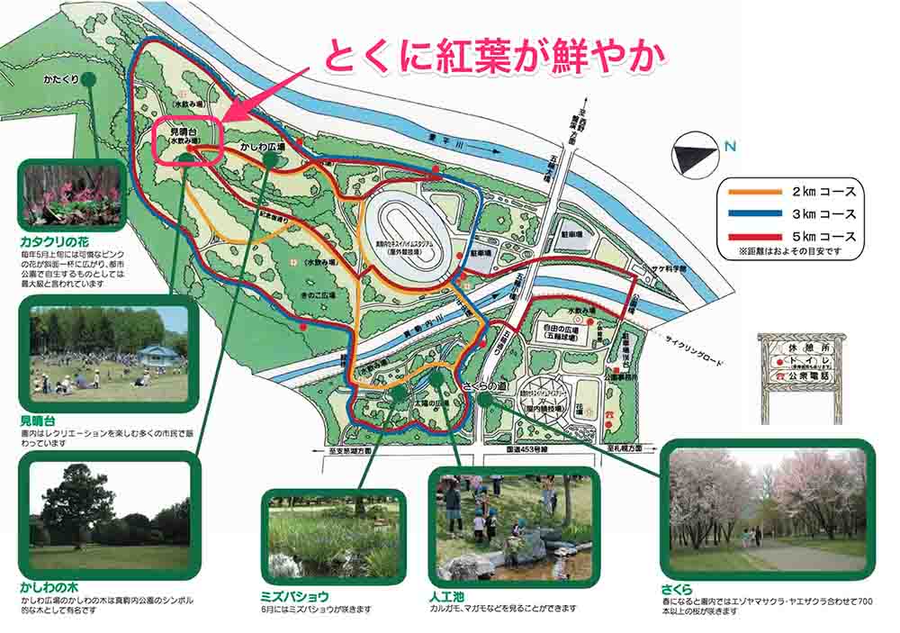 札幌真駒内公園の見取り図