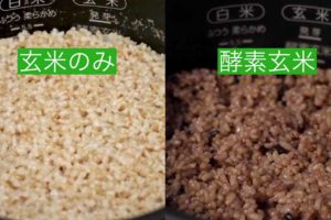 酵素玄米比較