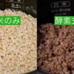 酵素玄米比較
